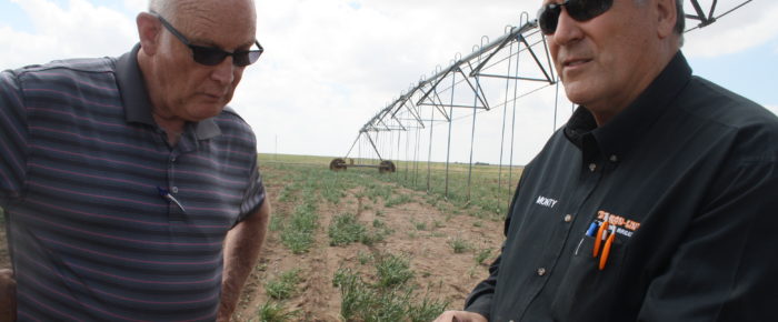 Amid drought in Texas Panhandle, farmers scratch crops from dust