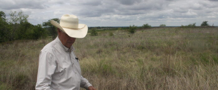 Taller grasses, deeper roots: Texas ranchers adapt to era of extremes